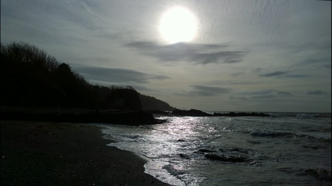 WP_20140319_16_06_12_Pro