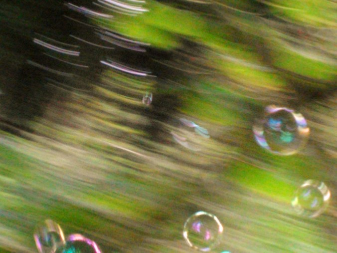 If you go down to the woods today....