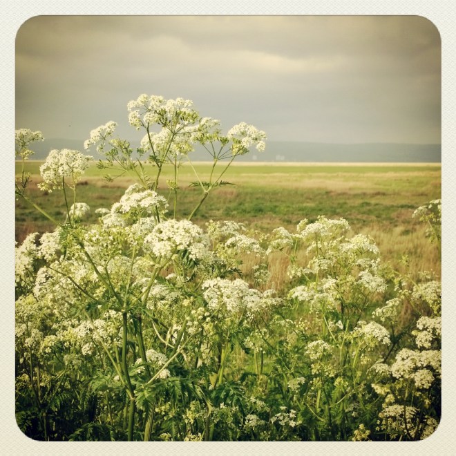 A Bright Spot On A Cloudy Day