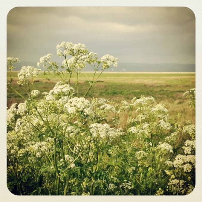 A Bright Spot On A Cloudy Day